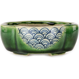  Satomi Mazan, Mazan Terahata 102 mm mokkogrüner Craquelé-Bonsaitopf von Terahata Satomi Mazan, Tokoname, Japan