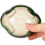 Maceta para bonsái craquelé verde Mokko de Terahata Satomi Mazan - 102 x 85 x 40 mm