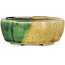 Mokko yellow and green craquelé bonsai pot by Terahata Satomi Mazan - 102 x 85 x 40 mm