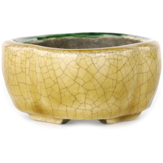 Maceta para bonsái craquelé amarillo y verde Mokko de Terahata Satomi Mazan - 102 x 85 x 40 mm