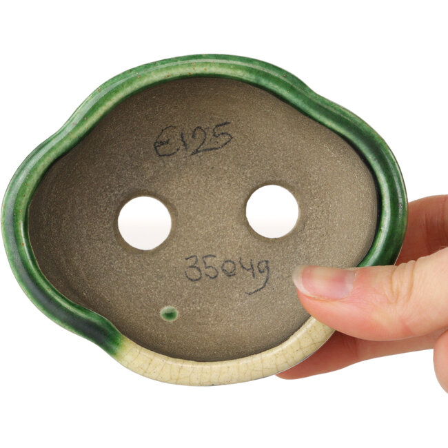 Maceta para bonsái craquelé verde Mokko de Terahata Satomi Mazan - 102 x 85 x 40 mm