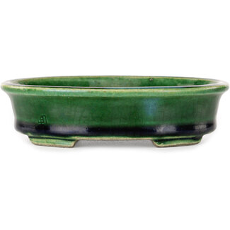  Satomi Mazan, Mazan Terahata 140 mm ovale groene craquelé met een bonsaipot met blauw accent van Terahata Satomi Mazan, Tokoname, Japan