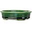 Ovale grüne Craquelé-Bonsaischale mit blauem Akzent von Terahata Satomi Mazan – 140 x 115 x 35 mm