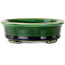 Craquelé verde ovalado con maceta de bonsái con detalles en azul de Terahata Satomi Mazan - 140 x 115 x 35 mm