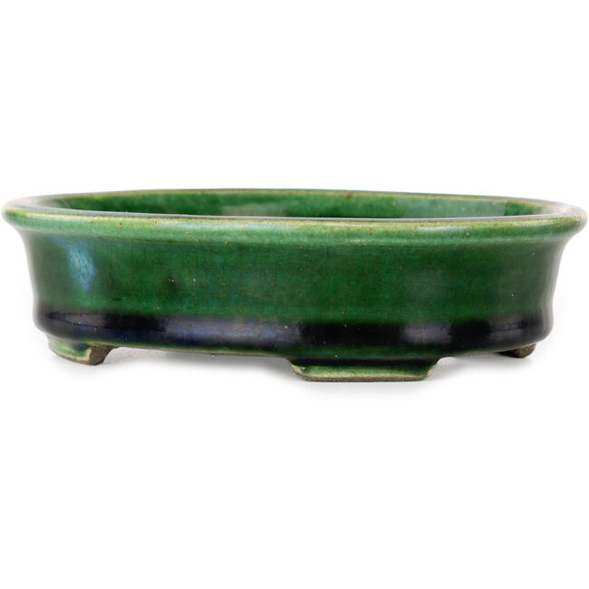 Ovale grüne Craquelé-Bonsaischale mit blauem Akzent von Terahata Satomi Mazan – 140 x 115 x 35 mm