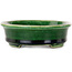 Ovale grüne Craquelé-Bonsaischale mit blauem Akzent von Terahata Satomi Mazan – 140 x 115 x 35 mm