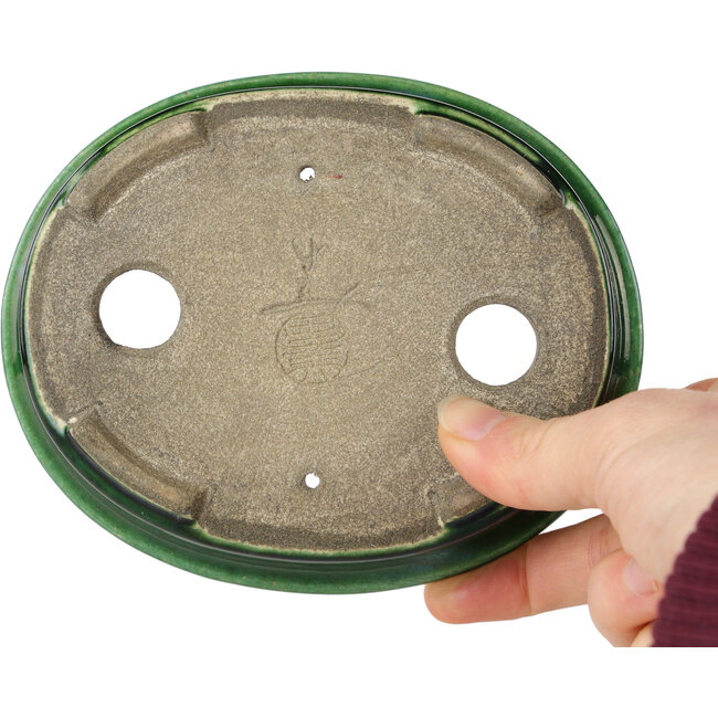 Craquelé verde ovalado con maceta de bonsái con detalles en azul de Terahata Satomi Mazan - 140 x 115 x 35 mm