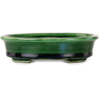  Satomi Mazan, Mazan Terahata 140 mm ovale groene craquelé met een bonsaipot met blauw accent van Terahata Satomi Mazan, Tokoname, Japan