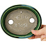 Vaso bonsai ovale verde craquelé con accenti blu di Terahata Satomi Mazan - 140 x 115 x 35 mm