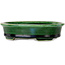 Vaso bonsai ovale verde craquelé con accenti blu di Terahata Satomi Mazan - 140 x 115 x 35 mm