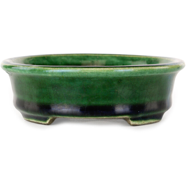 Vaso bonsai ovale verde craquelé con accenti blu di Terahata Satomi Mazan - 140 x 115 x 35 mm