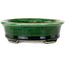 Vaso bonsai ovale verde craquelé con accenti blu di Terahata Satomi Mazan - 140 x 115 x 35 mm