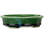 Craquelé verde ovalado con maceta de bonsái con detalles en azul de Terahata Satomi Mazan - 140 x 115 x 35 mm