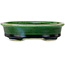 Ovale groene craquelé met een blauw accent bonsaipot van Terahata Satomi Mazan - 140 x 115 x 35 mm
