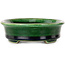 Pot à bonsaï ovale vert craquelé avec accent bleu par Terahata Satomi Mazan - 140 x 115 x 35 mm