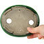 Craquelé verde ovalado con maceta de bonsái con detalles en azul de Terahata Satomi Mazan - 140 x 115 x 35 mm
