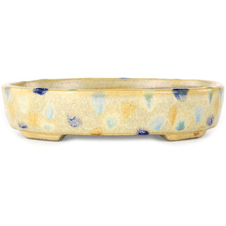  Satomi Mazan, Mazan Terahata 140 mm oval beige craquelé, multicolor bonsai pot by Terahata Satomi Mazan, Tokoname, Japan