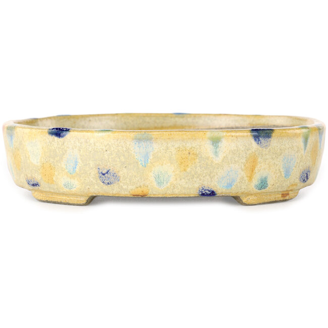 Pot à bonsaï ovale beige craquelé, multicolore par Terahata Satomi Mazan - 140 x 115 x 30 mm