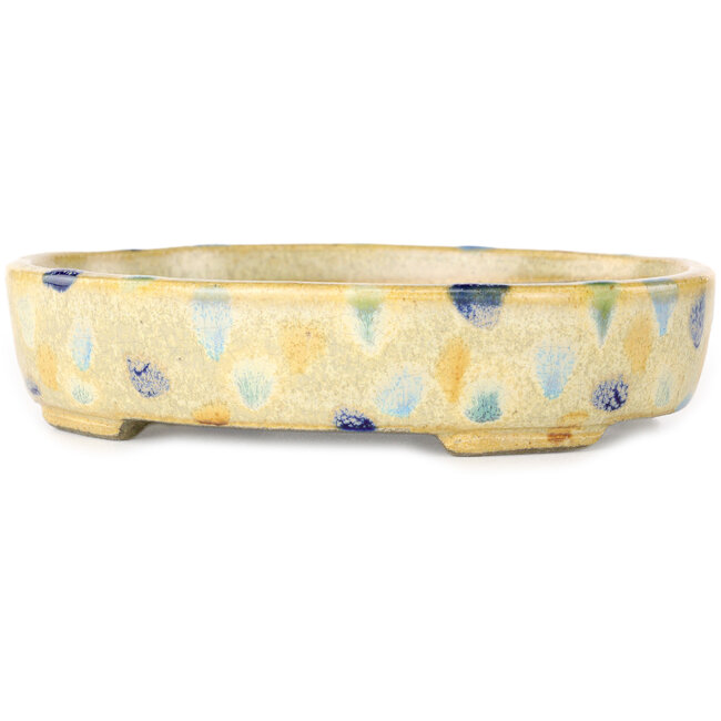 Vaso bonsai ovale beige craquelé e multicolore di Terahata Satomi Mazan - 140 x 115 x 30 mm