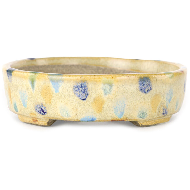 Vaso bonsai ovale beige craquelé e multicolore di Terahata Satomi Mazan - 140 x 115 x 30 mm