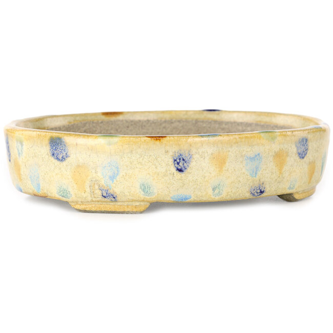 Pot à bonsaï ovale beige craquelé, multicolore par Terahata Satomi Mazan - 140 x 115 x 30 mm