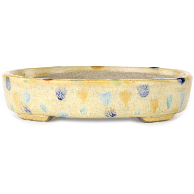 Oval beige craquelé, multicolor bonsai pot by Terahata Satomi Mazan - 140 x 115 x 30 mm