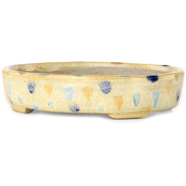 Vaso bonsai ovale beige craquelé e multicolore di Terahata Satomi Mazan - 140 x 115 x 30 mm