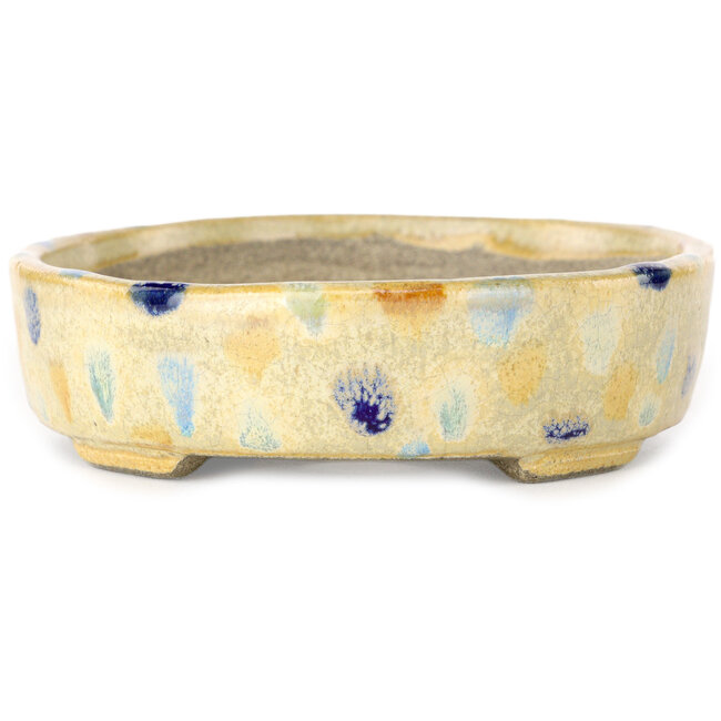 Vaso bonsai ovale beige craquelé e multicolore di Terahata Satomi Mazan - 140 x 115 x 30 mm