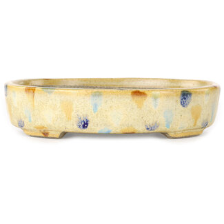  Satomi Mazan, Mazan Terahata Vaso bonsai ovale beige craquelé e multicolore da 140 mm di Terahata Satomi Mazan, Tokoname, Giappone