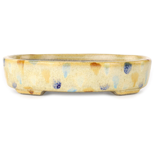 Pot à bonsaï ovale beige craquelé, multicolore par Terahata Satomi Mazan - 140 x 115 x 30 mm