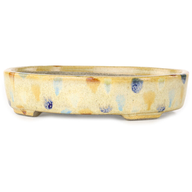 Vaso bonsai ovale beige craquelé e multicolore di Terahata Satomi Mazan - 140 x 115 x 30 mm