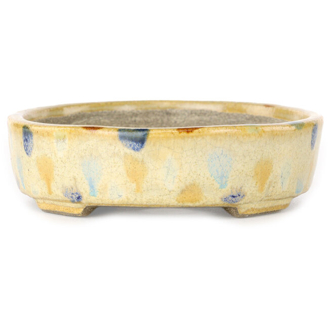 Oval beige craquelé, multicolor bonsai pot by Terahata Satomi Mazan - 140 x 115 x 30 mm