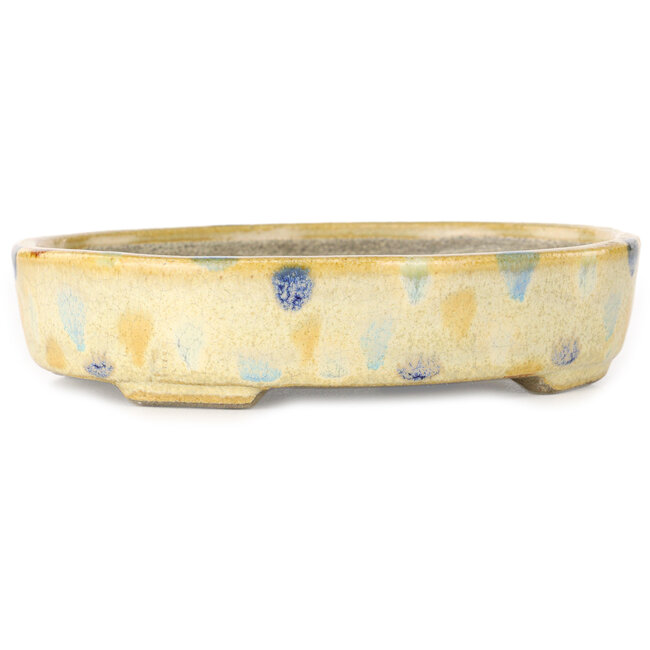 Vaso bonsai ovale beige craquelé e multicolore di Terahata Satomi Mazan - 140 x 115 x 30 mm