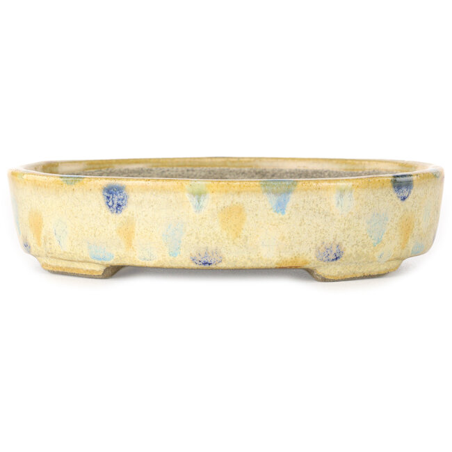 Oval beige craquelé, multicolor bonsai pot by Terahata Satomi Mazan - 140 x 115 x 30 mm