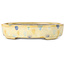 Oval beige craquelé, multicolor bonsai pot by Terahata Satomi Mazan - 140 x 115 x 30 mm