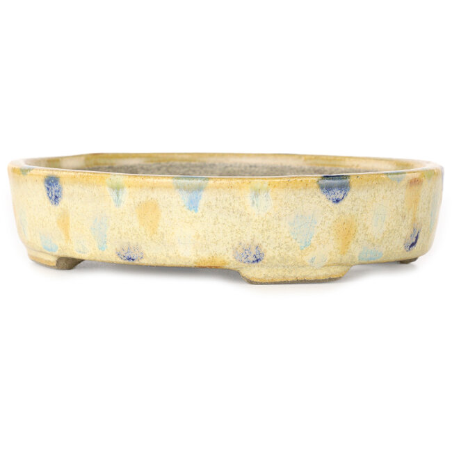 Vaso bonsai ovale beige craquelé e multicolore di Terahata Satomi Mazan - 140 x 115 x 30 mm