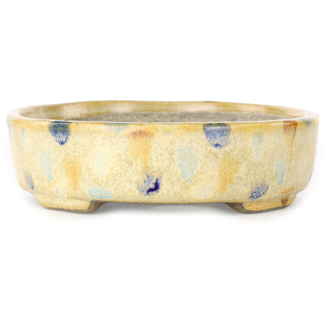 Pot à bonsaï ovale beige craquelé, multicolore par Terahata Satomi Mazan - 140 x 115 x 30 mm