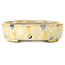 Oval beige craquelé, multicolor bonsai pot by Terahata Satomi Mazan - 140 x 115 x 30 mm
