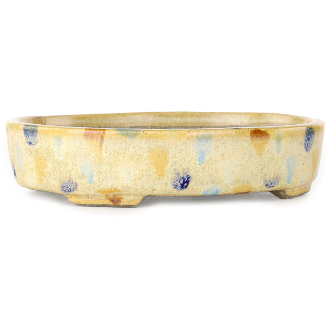 Oval beige craquelé, multicolor bonsai pot by Terahata Satomi Mazan - 140 x 115 x 30 mm