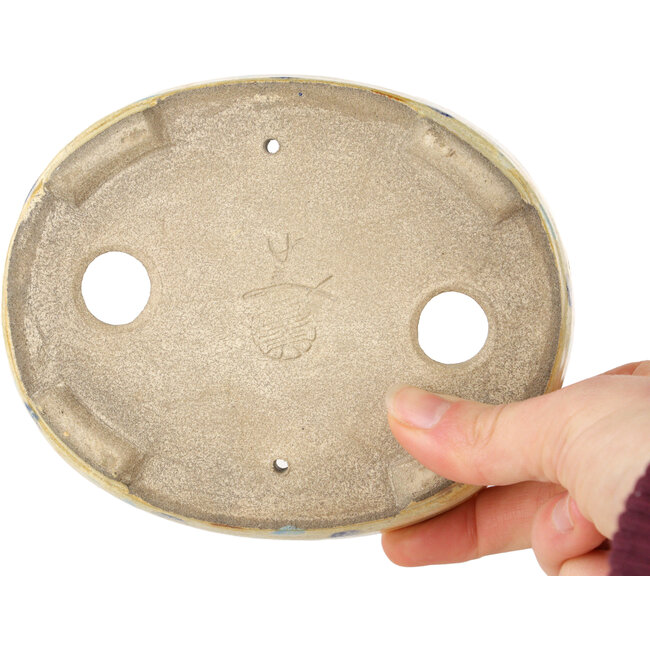 Oval beige craquelé, multicolor bonsai pot by Terahata Satomi Mazan - 140 x 115 x 30 mm
