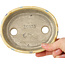 Oval beige craquelé, multicolor bonsai pot by Terahata Satomi Mazan - 140 x 115 x 30 mm