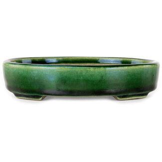  Satomi Mazan, Mazan Terahata Vaso bonsai ovale verde craquelé da 155 mm con accenti blu di Terahata Satomi Mazan, Tokoname, Giappone