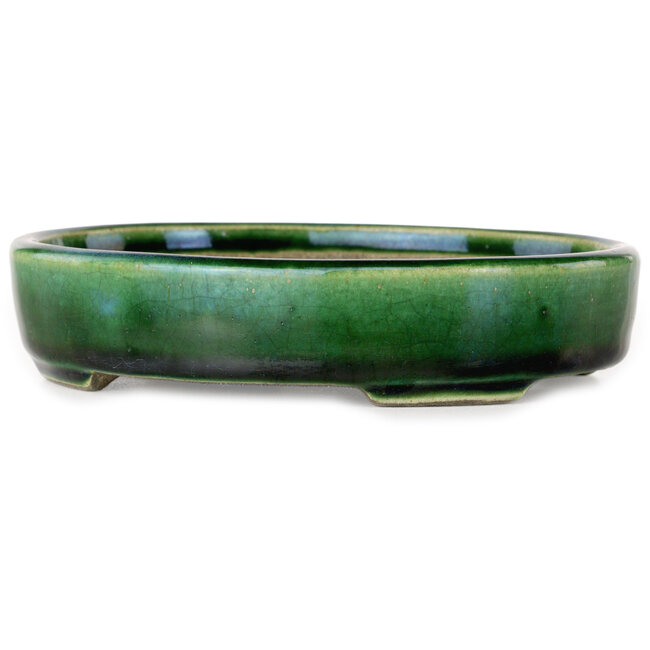 Oval green craquelé with a blue accent bonsai pot by Terahata Satomi Mazan - 155 x 127 x 32 mm