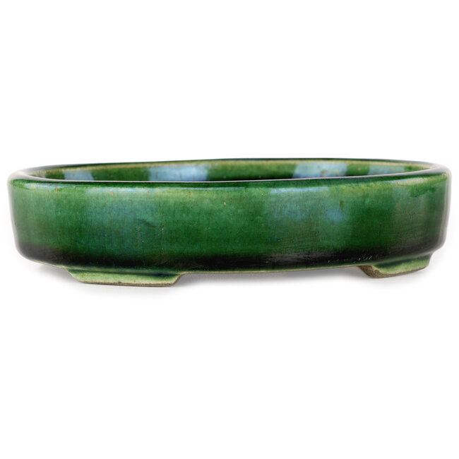Pot à bonsaï ovale vert craquelé avec accent bleu par Terahata Satomi Mazan - 155 x 127 x 32 mm