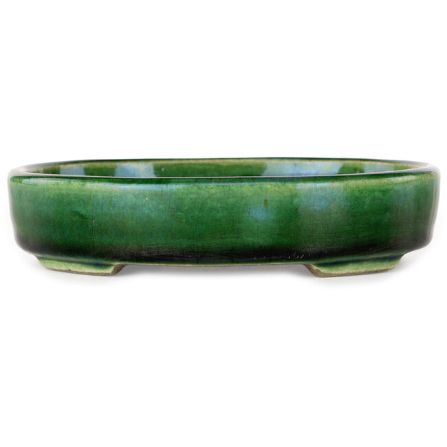 Pot à bonsaï ovale vert craquelé avec accent bleu par Terahata Satomi Mazan - 155 x 127 x 32 mm