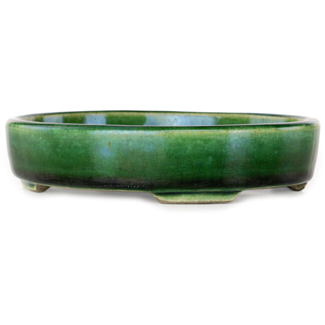 Craquelé verde ovalado con maceta de bonsái con detalles en azul de Terahata Satomi Mazan - 155 x 127 x 32 mm