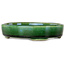 Pot à bonsaï ovale vert craquelé avec accent bleu par Terahata Satomi Mazan - 155 x 127 x 32 mm