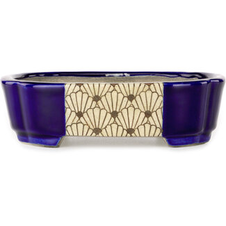  Satomi Mazan, Mazan Terahata Pot à bonsaï bleu mokko 160 mm par Terahata Satomi Mazan, Tokoname, Japon