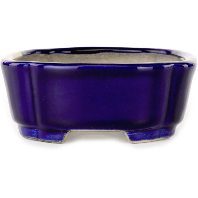 Vaso bonsai Mokko blu di Terahata Satomi Mazan - 160 x 120 x 45 mm