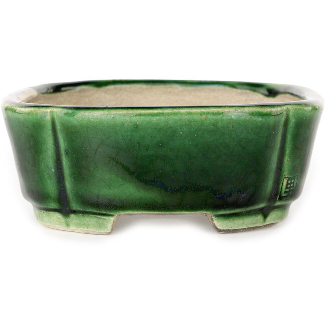 Craquelé verde Mokko con maceta de bonsái con detalles en azul de Terahata Satomi Mazan - 160 x 120 x 45 mm